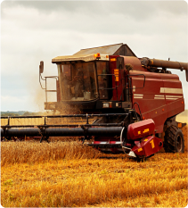 Agriculture