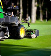 Turf Care Products