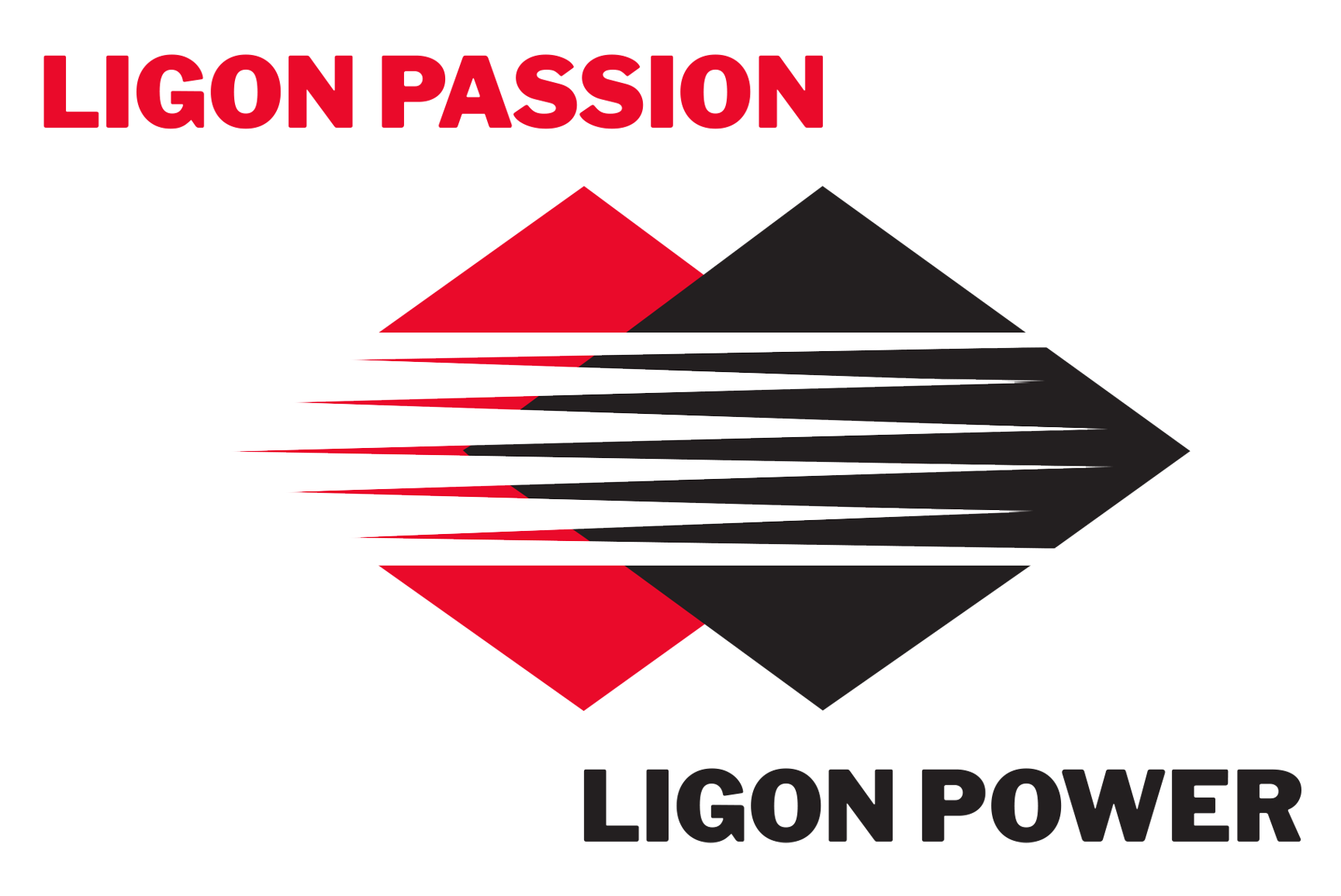 LIGON PASSION LIGON POWER 2022 LOGO
