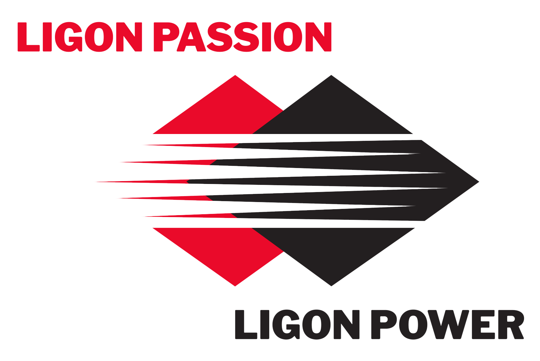 LIGON PASSION & LIGON POWER logo